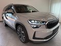 Daumennagel 3 - Skoda Kodiaq 1.5 TSI Selection PANO 7 SITZE LEDER AHK