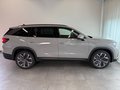 Daumennagel 4 - Skoda Kodiaq 1.5 TSI Selection PANO 7 SITZE LEDER AHK
