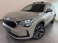 Daumennagel 1 - Skoda Kodiaq 1.5 TSI Selection PANO 7 SITZE LEDER AHK