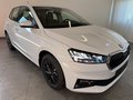 Daumennagel 3 - Skoda Fabia 1.0 TSI 130JAHRE KAMERA 5J GARANTIE