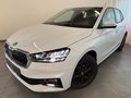 Daumennagel 1 - Skoda Fabia 1.0 TSI 130JAHRE KAMERA 5J GARANTIE