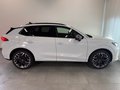 Daumennagel 4 - CUPRA Terramar 2.0 TSI 4D VZ PANO AHK 360° HEADUP SENN
