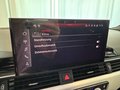 Daumennagel 17 - Audi A4 Avant TDI quattro S line COMPETITION AHK B&O