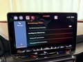 Daumennagel 18 - CUPRA Leon 1.5 eTSI DSG PANO EDGE DYNAMIC PERFORMANCE