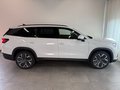 Daumennagel 4 - Skoda Kodiaq 1.5 TSI Selection PANO 7 SITZE LEDER AHK