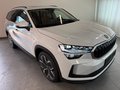 Daumennagel 3 - Skoda Kodiaq 1.5 TSI Selection PANO 7 SITZE LEDER AHK