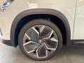 Daumennagel 9 - Skoda Kodiaq 1.5 TSI Selection PANO 7 SITZE LEDER AHK
