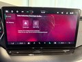 Daumennagel 17 - Skoda Octavia Combi 2.0 RS PANO HEAD UP 19"