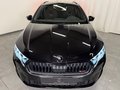 Daumennagel 2 - Skoda Octavia Combi 2.0 RS PANO HEAD UP 19"