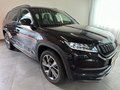 Daumennagel 3 - Skoda Kodiaq Sportline 4x4 TDI LEDER PANO CANTON AHK