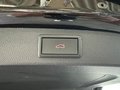 Daumennagel 29 - Skoda Kodiaq Sportline 4x4 TDI LEDER PANO CANTON AHK