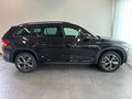 Daumennagel 4 - Skoda Kodiaq Sportline 4x4 TDI LEDER PANO CANTON AHK