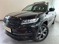 Daumennagel 1 - Skoda Kodiaq Sportline 4x4 TDI LEDER PANO CANTON AHK