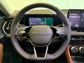 Daumennagel 13 - Skoda Kodiaq 1.5 TSI Selection PANO 7 SITZE LEDER AHK
