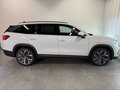 Daumennagel 4 - Skoda Kodiaq 1.5 TSI Selection PANO 7 SITZE LEDER AHK