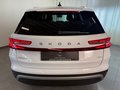 Daumennagel 6 - Skoda Kodiaq 2.0 TDI 4x4 Selection 7 SITZE LEDER PANO