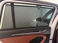 Daumennagel 28 - Skoda Kodiaq 2.0 TDI 4x4 Selection 7 SITZE LEDER PANO