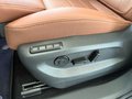 Daumennagel 30 - Skoda Kodiaq 2.0 TDI 4x4 Selection 7 SITZE LEDER PANO