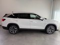 Daumennagel 4 - Skoda Kodiaq 2.0 TDI 4x4 Selection 7 SITZE LEDER PANO