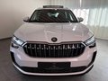 Daumennagel 2 - Skoda Kodiaq 2.0 TDI 4x4 Selection 7 SITZE LEDER PANO