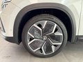 Daumennagel 9 - Skoda Kodiaq 2.0 TDI 4x4 Selection 7 SITZE LEDER PANO