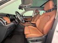 Daumennagel 11 - Skoda Kodiaq 2.0 TDI 4x4 Selection 7 SITZE LEDER PANO