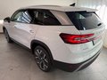 Daumennagel 7 - Skoda Kodiaq 2.0 TDI 4x4 Selection 7 SITZE LEDER PANO