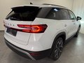 Daumennagel 5 - Skoda Kodiaq 1.5 TSI Selection PANO 7 SITZE LEDER AHK