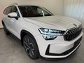 Daumennagel 3 - Skoda Kodiaq 1.5 TSI Selection PANO 7 SITZE LEDER AHK