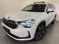 Daumennagel 1 - Skoda Kodiaq 1.5 TSI Selection PANO 7 SITZE LEDER AHK