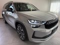Daumennagel 3 - Skoda Kodiaq 1.5 TSI mHEV Sportline AHK PANO 7-SITZE