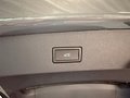 Daumennagel 30 - Volkswagen Tayron 1.5 eTSI DSG Life AHK 7 SITZE KAMERA