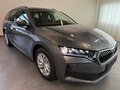 Daumennagel 3 - Skoda Octavia Combi 1.5 eTSI DSG AHK KAMERA