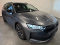 Daumennagel 3 - Skoda Octavia Combi 2.0 TDI DSG Sportline PANO AHK 18"