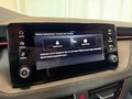Daumennagel 18 - Skoda Kamiq Sport 1.0 TSI DSG KESSY KAMERA 18" SHZ