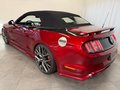 Daumennagel 28 - Ford Mustang GT 5.0 Cabrio BODYKIT 21" 1.HAND LEDER