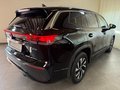 Daumennagel 6 - Volkswagen Tayron 1.5 eTSI DSG Life AHK 7 SITZE KAMERA