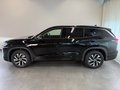 Daumennagel 10 - Volkswagen Tayron 1.5 eTSI DSG Life AHK 7 SITZE KAMERA