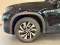 Daumennagel 11 - Volkswagen Tayron 1.5 eTSI DSG Life AHK 7 SITZE KAMERA