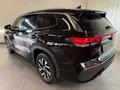 Daumennagel 8 - Volkswagen Tayron 1.5 eTSI DSG Life AHK 7 SITZE KAMERA