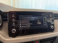 Daumennagel 18 - Skoda Scala 1.0 TSI DSG 130J AHK KAMERA 5J GARANTIE