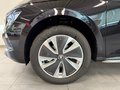 Daumennagel 9 - Skoda Kamiq 1.0 TSI DSG 130J AHK KAMERA 5J GARANTIE