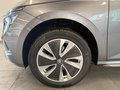 Daumennagel 9 - Skoda Kamiq 1.0 TSI DSG 130J AHK KAMERA 5J GARANTIE