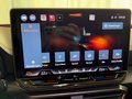 Daumennagel 15 - CUPRA Leon Sportstourer 1.5 eTSI DSG AHK EDGE