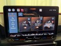 Daumennagel 21 - CUPRA Leon Sportstourer 1.5 eTSI DSG AHK EDGE