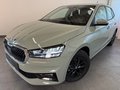 Daumennagel 1 - Skoda Fabia 1.0 TSI 130JAHRE KAMERA 5J GARANTIE