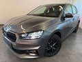 Daumennagel 1 - Skoda Fabia 1.0 TSI 130JAHRE KAMERA 5J GARANTIE