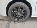 Daumennagel 3 - Volkswagen T7 Multivan Edition lang AHK/STNDHZNG/ACC/RFK/DAB