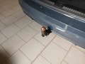 Daumennagel 13 - Volkswagen Touran Comfortline AHK/EASYOPEN/PANO/STNDHZNG/RFK