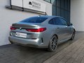 Daumennagel 4 - BMW 218i Gran Coupe M Sport PANO/HIFI/PARKASSIST/ACC